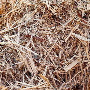 Щепа для арболита оптом в Люберцах и других различных марок заказать от 16 тонн